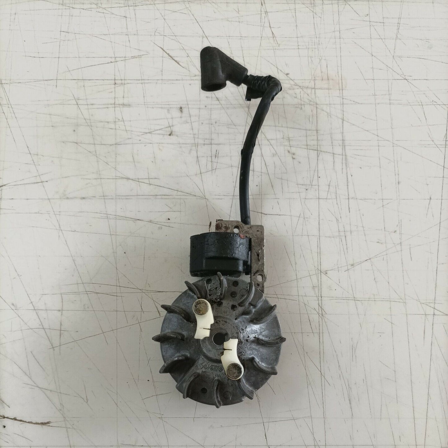 bobina ACCENSIONE e volano MAGNETICO PER MOTOSEGA EFCO 134 ricambi usati