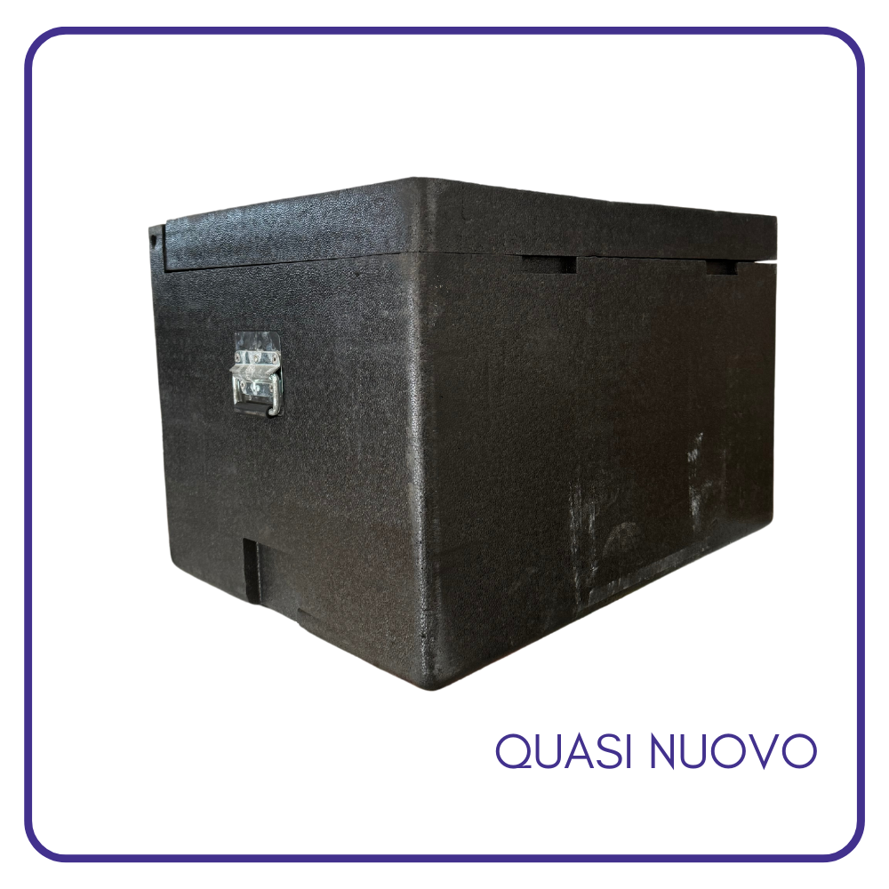 contenitore TERMICO plastica per trasporto alimenti isotermico POLISTIROLO usata