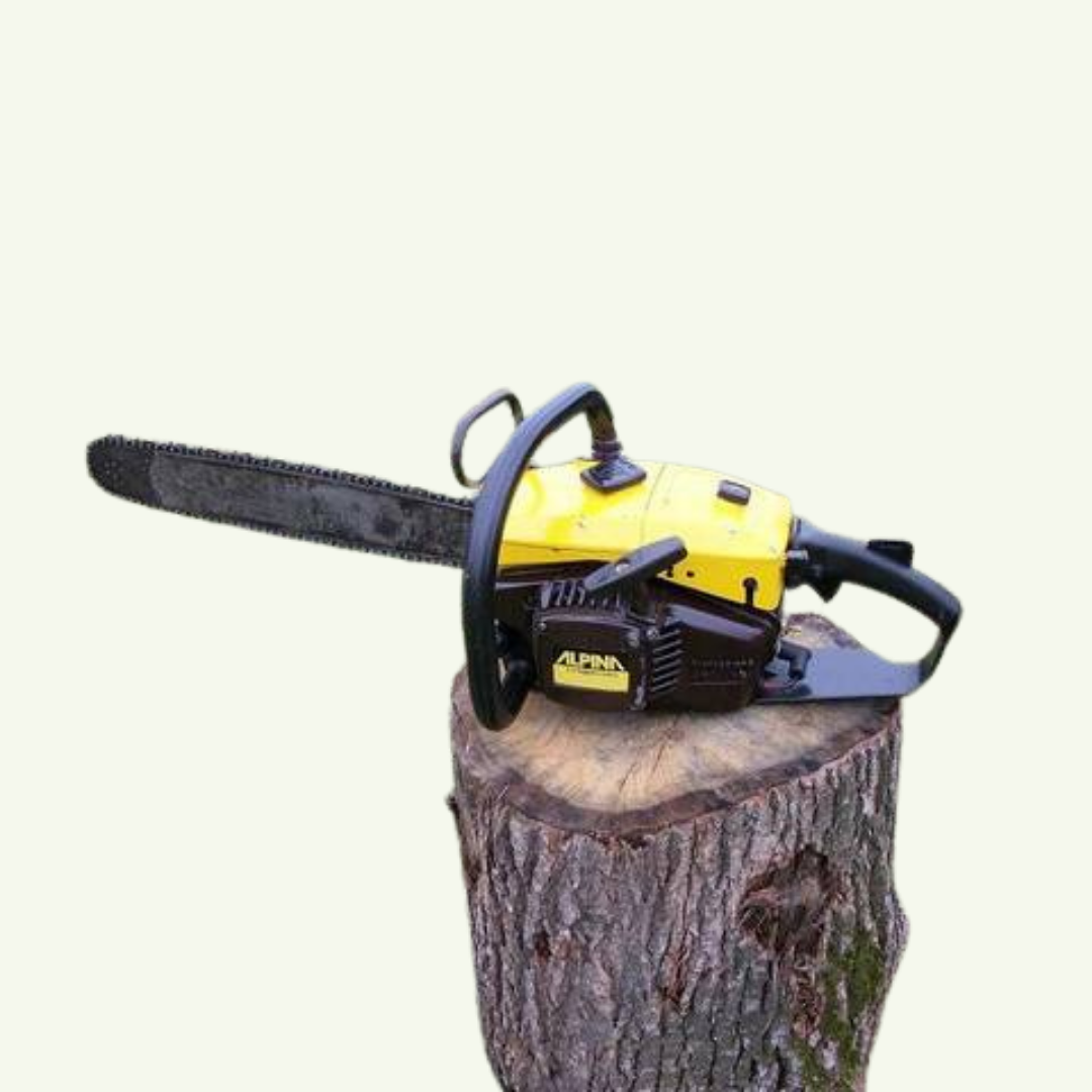 ALBERO MOTORE CARTER BASAMENTO CILINDRO PER MOTOSEGA ALPINA PROF 55 E CP 55