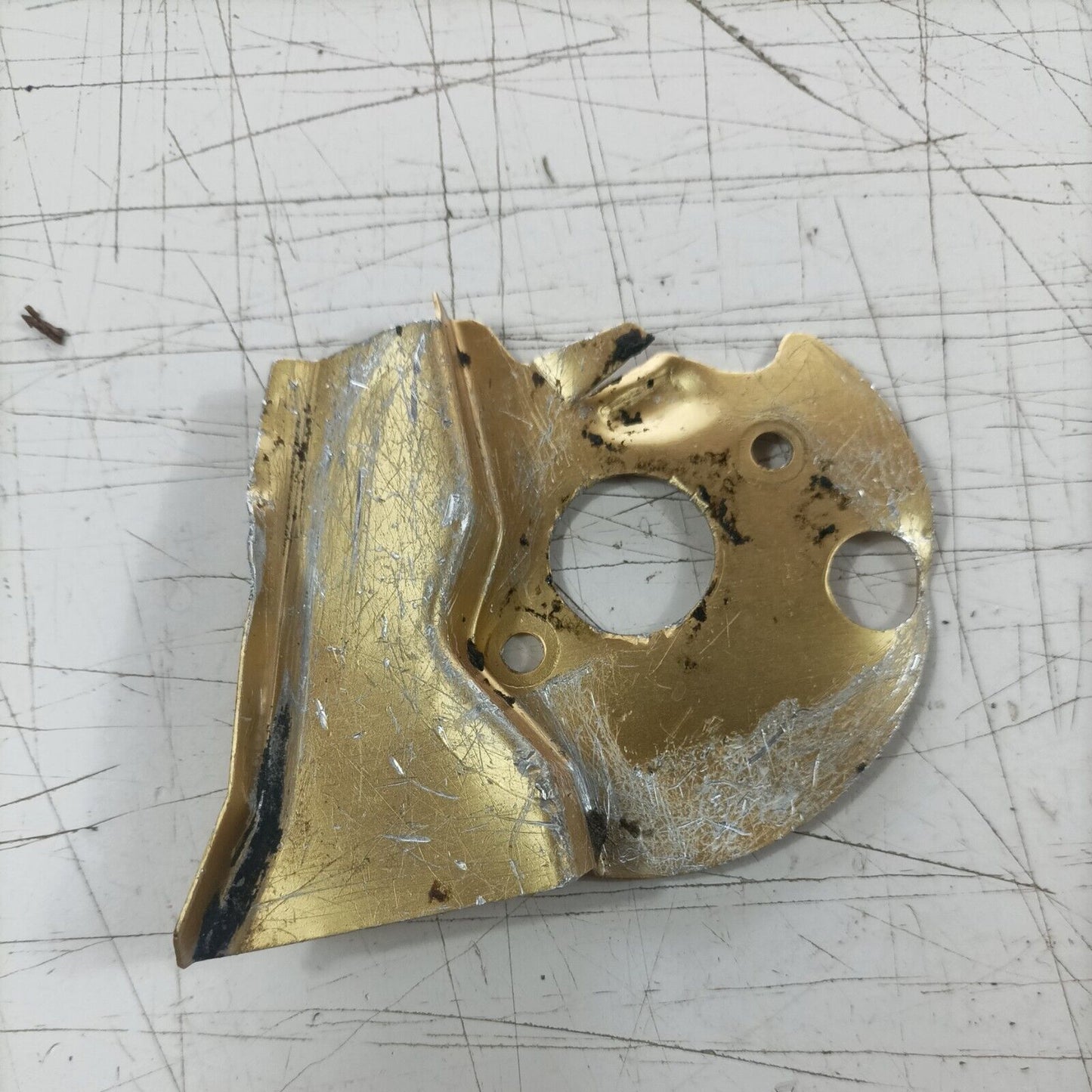 ricambio usato COPERCHIO LAMIERINO POMPA OLIO PER MOTOSEGA castor ALPINA PROF 45