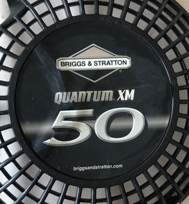 VALVOLA scarico MOTORE BRIGGS & STRATTON QUANTUM XM 50 ricambi usati
