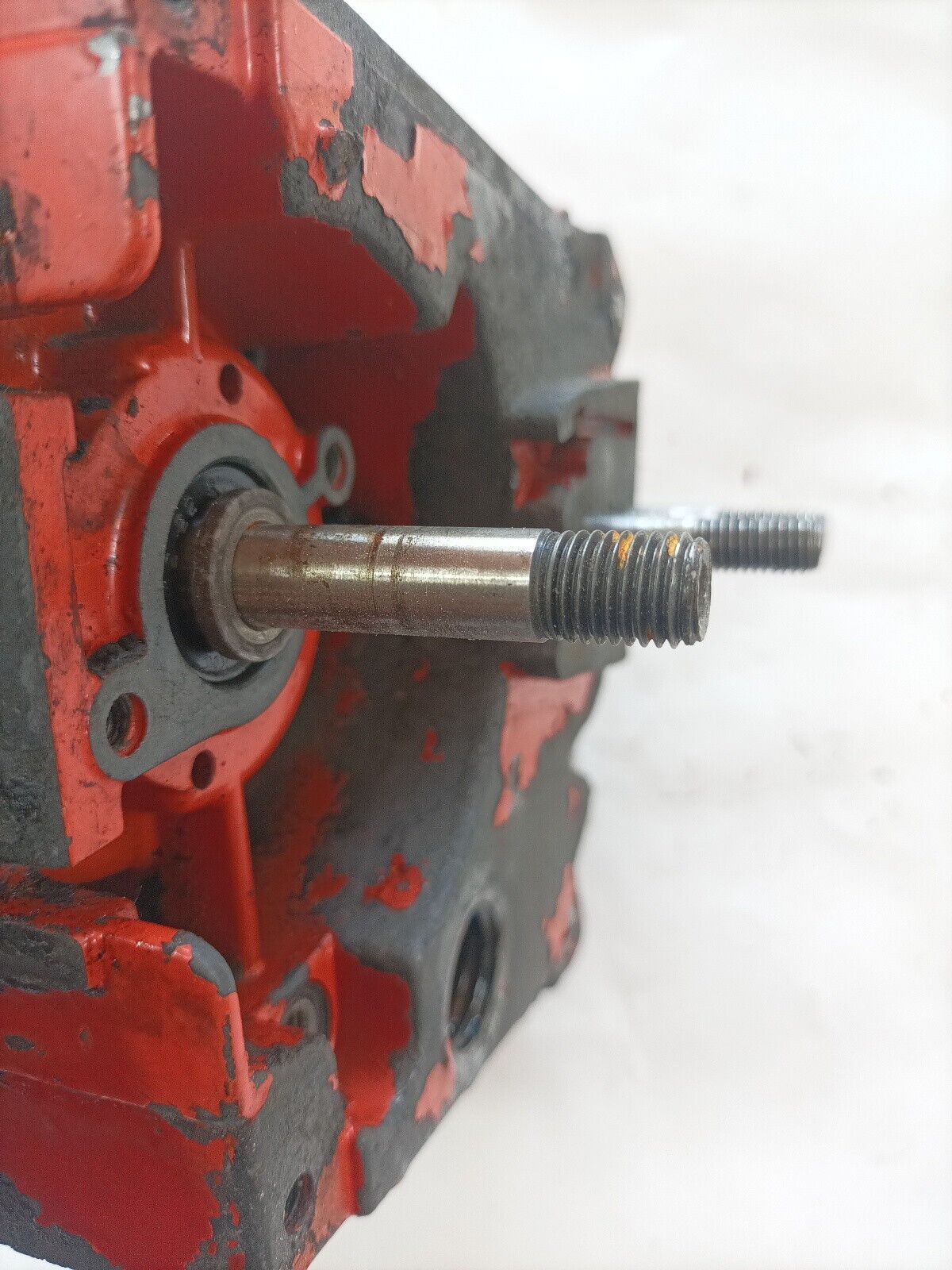 ALBERO MOTORE carter serbatoio olio BASAMENTO PER MOTOSEGA CASTOR C 41 A 41