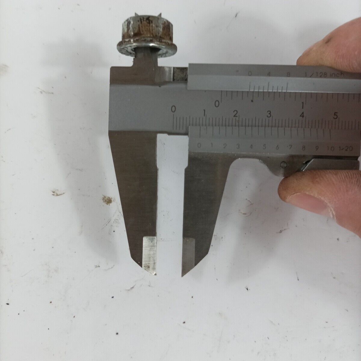 DADO VITE ALBERO MOTORE per DECESPUGLIATORE BLUE BIRD ZANE' ZM  27 ricambi usati