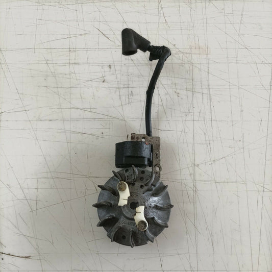 bobina ACCENSIONE e volano MAGNETICO PER MOTOSEGA EFCO 134 ricambi usati