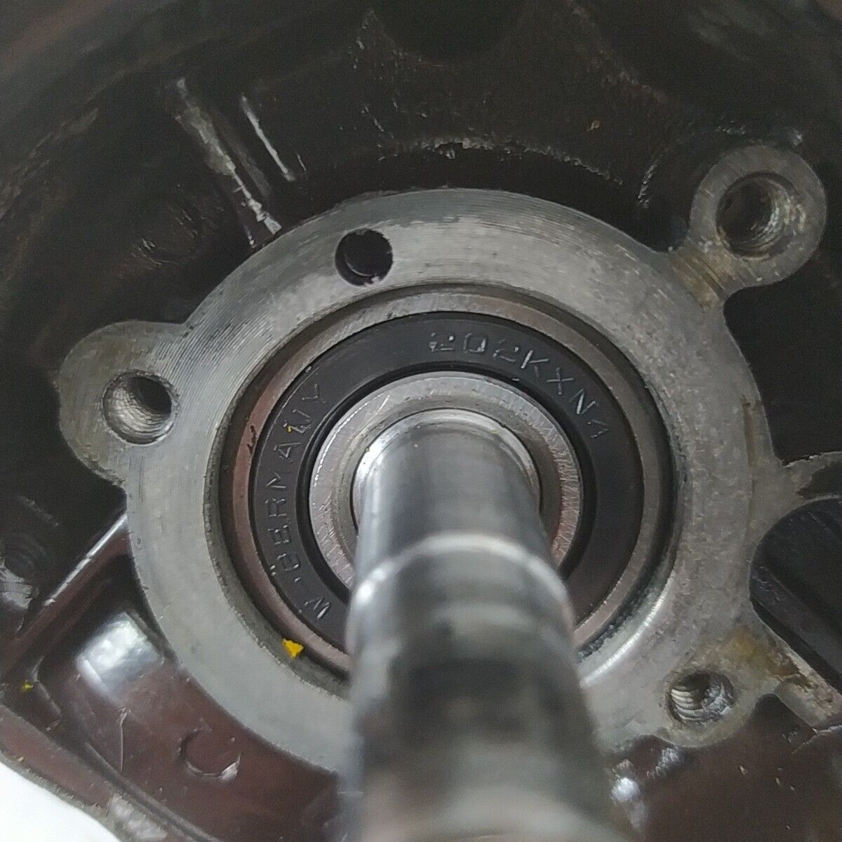 ALBERO MOTORE CARTER BASAMENTO CILINDRO PER MOTOSEGA ALPINA PROF 55 E CP 55