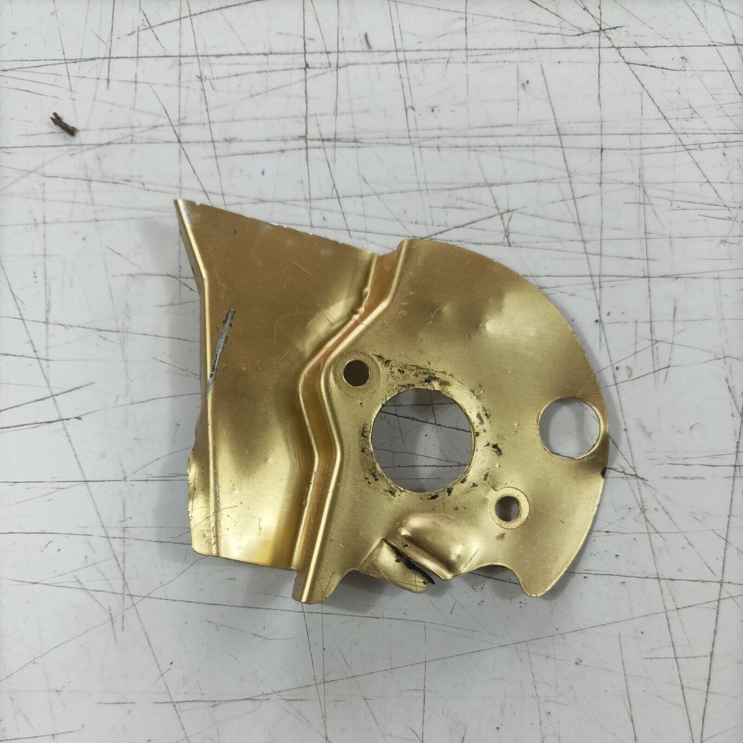 ricambio usato COPERCHIO LAMIERINO POMPA OLIO PER MOTOSEGA castor ALPINA PROF 45