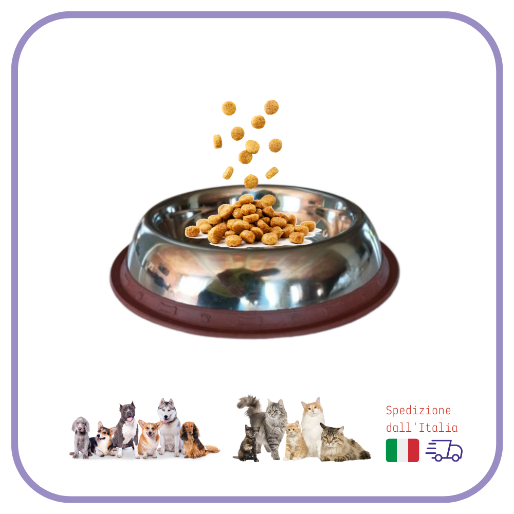 Mangiatoia CIOTOLA argento per animali cani gatti DIAMETRO 26 cm antiscivolo